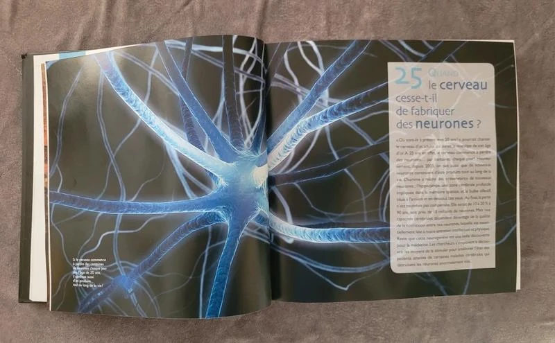 Brain Human Body 200 Questions Answers Science & Vie – photo 2